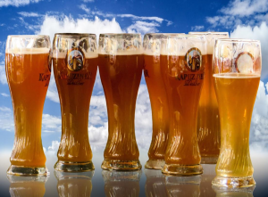 elite travel craft beers