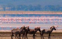 Lake Manyara
