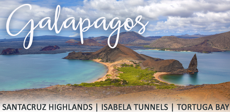 Volcanic coastline and turquoise water in the Galapagos Islands