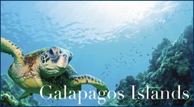 Just Go Trav Trip Package