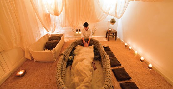 wellness vacation planner