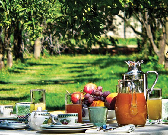 Wellness Travel Vacation Packages 3