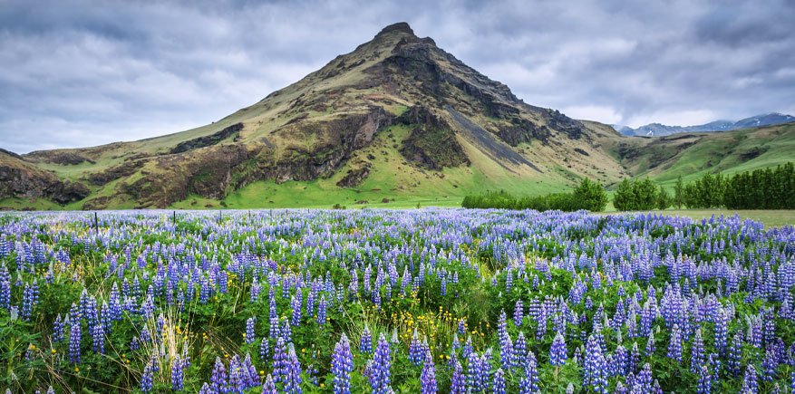 iceland env
