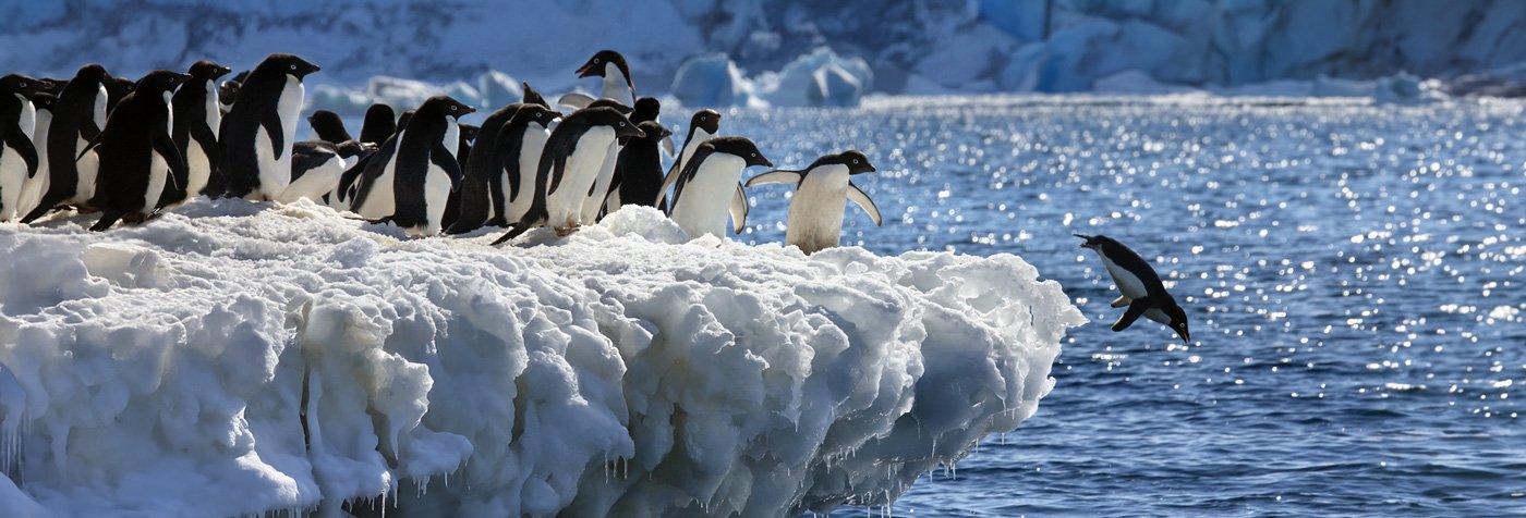 h antarctica 1