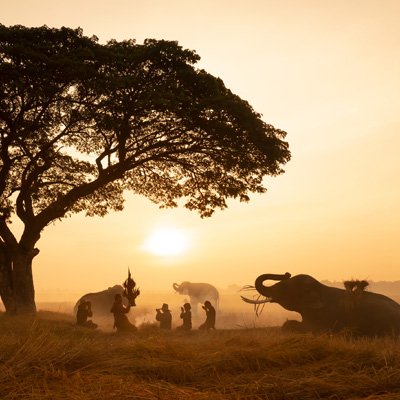 africa vacation packages