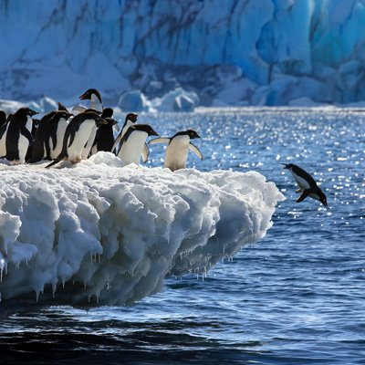 antarctica luxury vacation packages