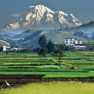 ecuador vacation packages