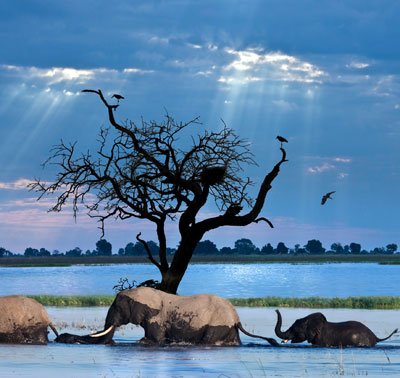 botswana