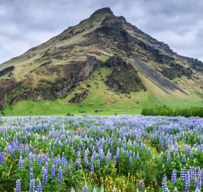iceland