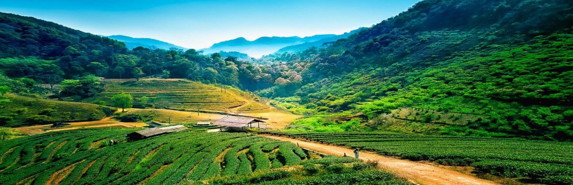 Chiang Mai vacation packages