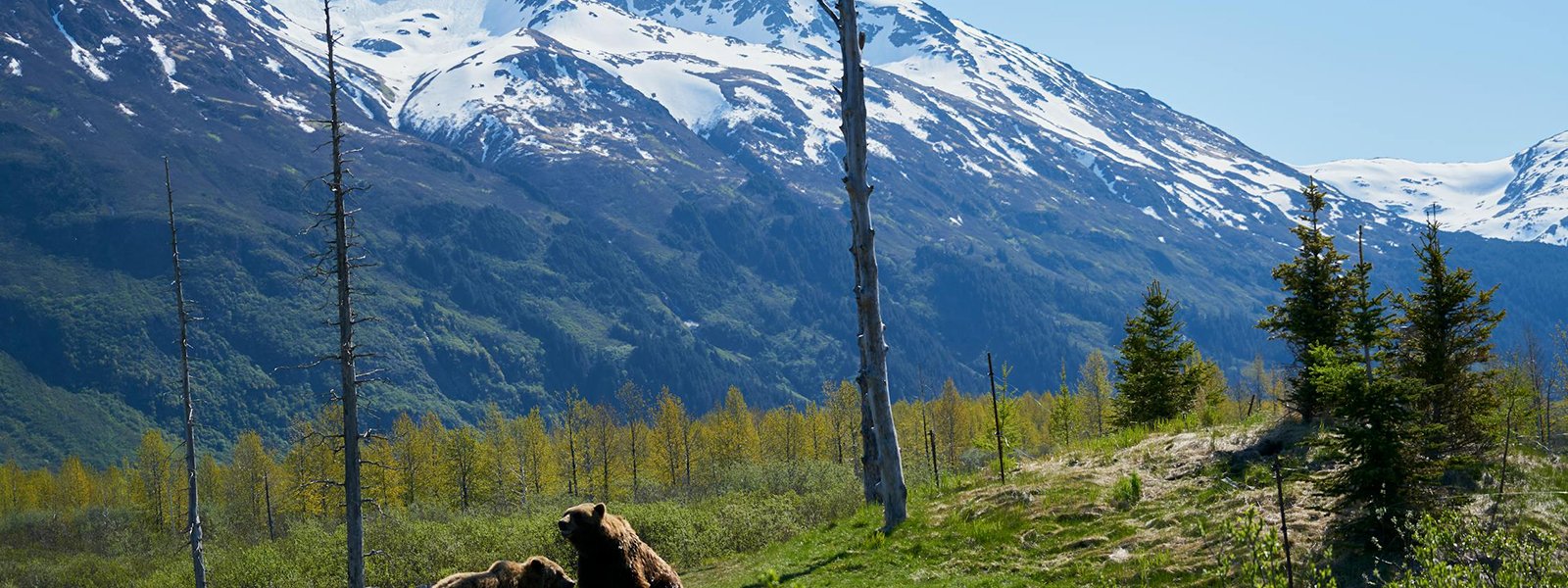 alaska