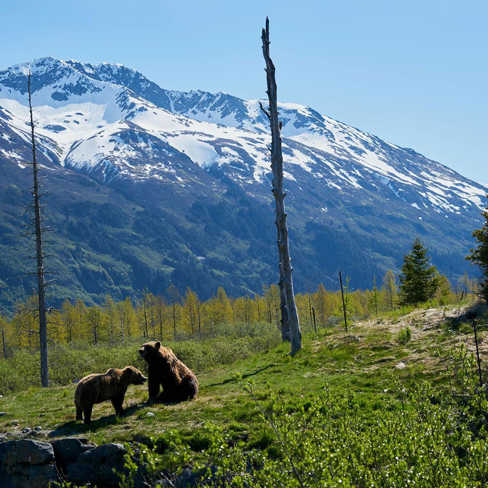 Snowy mountain landscape in Alaska