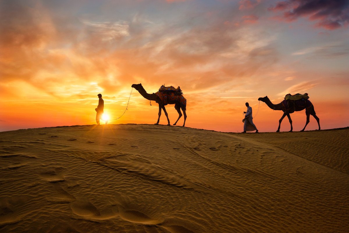 Luxury Travel Agency for India Vacation Packages