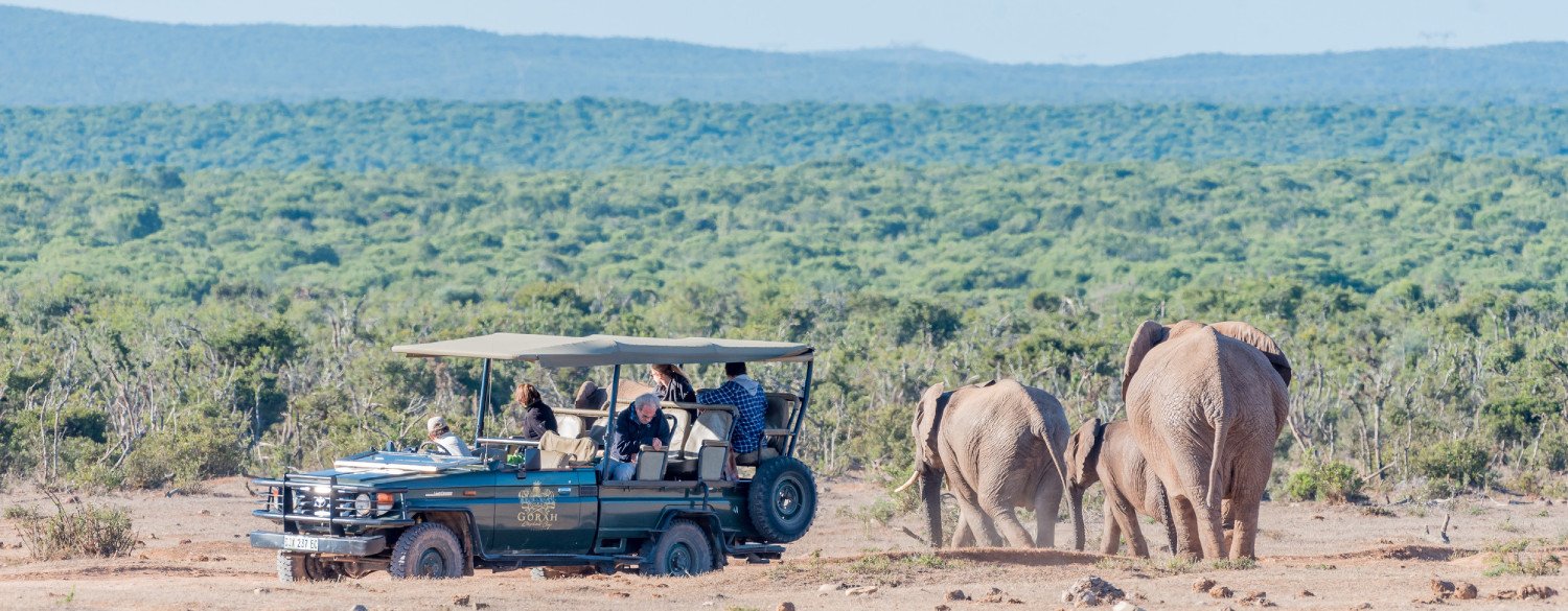 Luxury Cape Town & the Garden Route Vacation Package