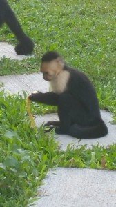 20151008 171551