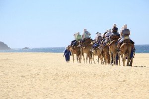cabo-camel10