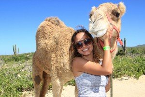cabo-camel12