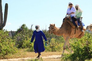 cabo-camel2
