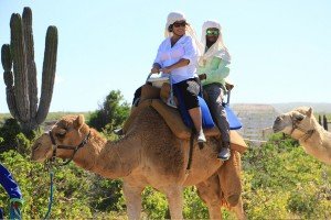 cabo-camel3
