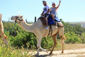 cabo-camel5