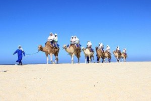 cabo-camel8