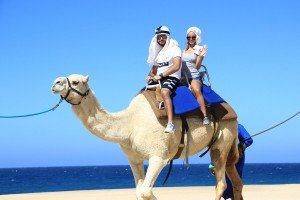 cabo-camel9