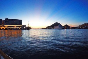 Cabo Fishing Trip