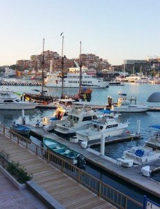 cabo-fish6