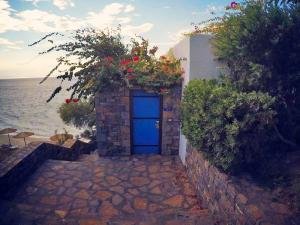 gal-greece17