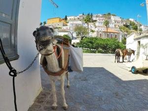 gal-greece5