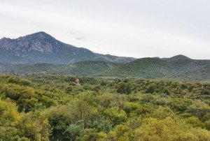 sardinia-hunt12