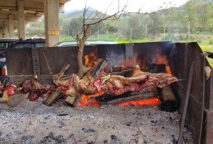 sardinia-hunt16
