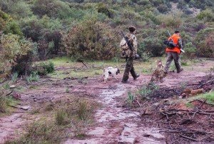 sardinia-hunt7